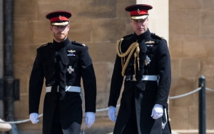 British Royal Expert: It's Actually Prince William and Prince Harry Who Have a 'Rift'