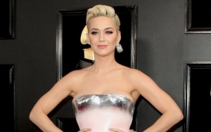 Katy Perry to Be Honored at 2019 DVF Awards for Humanitarian Work 