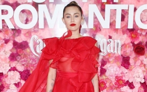 'Queer' Miley Cyrus Goes Nude Under the Sun: I'm Ready to Party