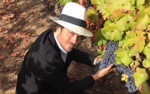 Ian Somerhalder Blames Wine for Having to Ditch Faux Hawk Hairstyle Halfway Through