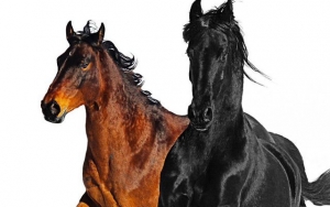 Listen: Lil Nas X Enlists Billy Ray Cyrus for Remix of Controversial Song 'Old Town Road'