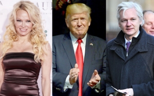 Pamela Anderson Labels Donald Trump 'Toxic Coward' Following Julian Assange's Arrest