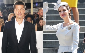 Brad Pitt and Angelina Jolie's Bifurcated Judgment Request for Divorce Gets Thumb Up
