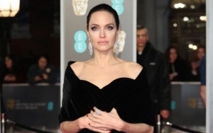 Angelina Jolie Breaks Away From Brad Pitt by Legally Restoring Her Name