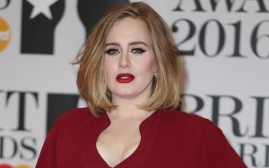 Adele Treats Fans to Hilarious Meme of Herself Amid Divorce