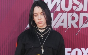 Billie Eilish Puts a Halt to Melbourne Concert After Teen Fan Suffers Medical Emergency