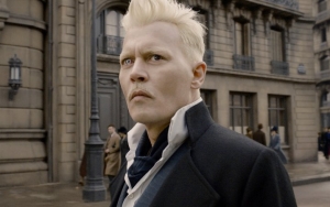 Johnny Depp Has Not Secured Deal for His 'Fantastic Beasts 3' Return