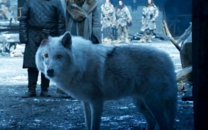 'GoT': Fans Are Upset About How Jon Snow Treats Ghost, Dub Episode 4 the Worst