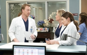 'Grey's Anatomy' Solidifies Itself as Longest-Running Medical Drama With 17 Seasons  