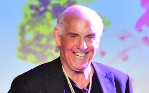 Ric Flair's Scheduled Surgery Postponed Due to Health Complications