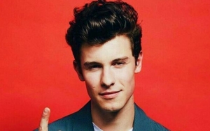 Artist of the Week: Shawn Mendes
