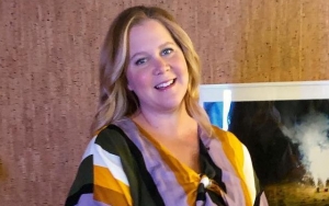 Amy Schumer Mom-Shamed for Returning to Work Quickly After Giving Birth: 'That's Insane!'