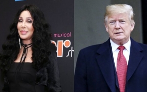 Cher Calls Prison 'Toy Boy' Joke on Donald Trump Her 'WTF Moment'