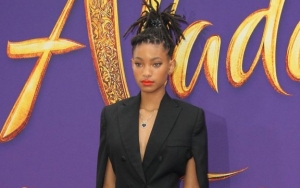 Willow Smith Gets Approached to Direct Porn Film