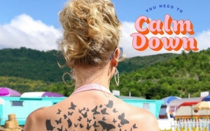 Listen: Taylor Swift Blasts Trolls on New Song 'You Need to Calm Down' 