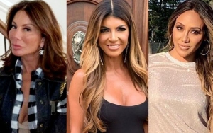 Danielle Staub Says She's 'Hurt' Amid Teresa Giudice Feud, Melissa Gorga Hints at Her Involvement