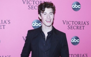 Shawn Mendes Earns Praises for Inspirational 'Follow Your Heart' Post