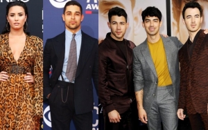 Demi Lovato Breaks Silence After Liking Posts Shading Wilmer Valderrama and Jonas Brothers