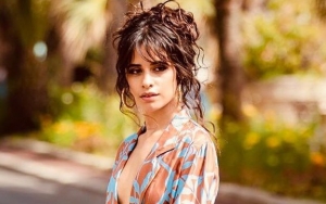 Camila Cabello Begs Fans to Stop Sending Hateful Messages After Matthew Hussey Split