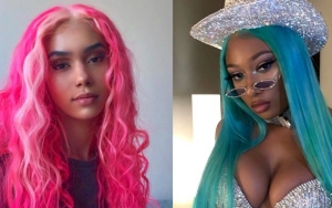 Is Chris Brown's Ex Indyamarie Dating Megan Thee Stallion Now?