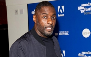 Idris Elba Stops 'Tree' Show Midway to Aid Fainting Woman  