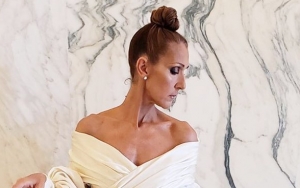 Celine Dion Accidentally Flashes Panties in Tiny White Dress in Paris