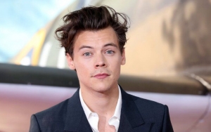 Harry Styles to Testify Against Spanish Man Believed to Have Stalked Him