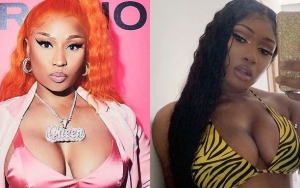 Nicki Minaj Leaves Thirsty Comment on Megan Thee Stallion's Bikini Pic