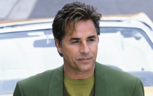 Don Johnson Hops Into 'Nash Bridges' Revival