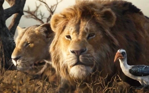 'The Lion King' Shatters Box Office Records Despite Average Reviews