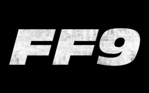 'Fast and Furious 9' Suffers Production Delay Over Stuntman's Injury on Set