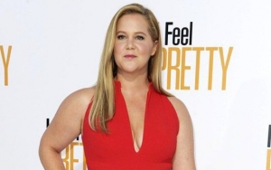 Here Is Why Amy Schumer Highly Recommends Being A Parent