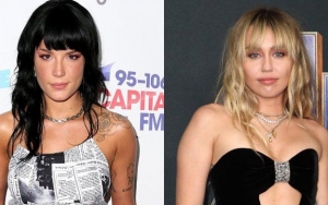 Halsey Hits Back at Troll Blaming Bisexuality for Miley Cyrus' Split From Liam Hemsworth