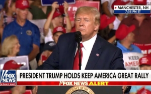 Donald Trump Slammed for Fat-Shaming a Protester at His Rally