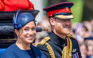 Meghan Markle and Prince Harry Labeled 'Hypocritical' for Their Continuous Private Jet Travel