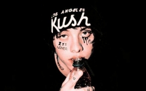 Lil Xan Hits Back at Molestation Allegations, Says the 'Fan' Is His Girlfriend