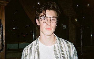 Shawn Mendes Slammed for His 'Immature' Apology Over Past Racist Tweet