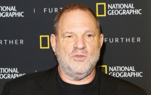 Harvey Weinstein Enters Not Guilty Plea for New Charges of Sexual Assault