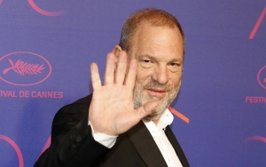 Harvey Weinstein's Jeep Smashes Into Tree and Flips After Avoiding a Deer