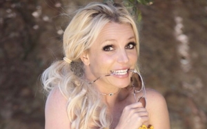 Britney Spears Excites Fans With New Brunette Hair - See the Pic