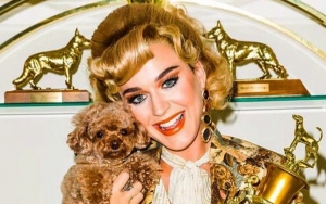 Katy Perry Puts the Spotlight on Her Pet Dog in 'Small Talk' Video