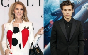 Celine Dion and Harry Styles Named Among Vanity Fair's 2019 Best-Dressed Stars