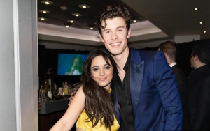 Camila Cabello Credits 'Senorita' for Reconnecting Her to Shawn Mendes 