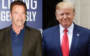 Arnold Schwarzenegger Fears He Gave Donald Trump Tools to Become President