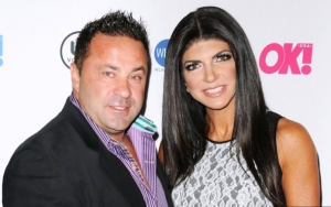 Teresa Giudice's Husband Joe Calls ICE Custody 'Inhumane,' Seeks to Return Home