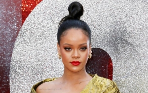 Rihanna Sparks Pregnancy Speculation After 2019 Diamond Ball Appearance and Interview