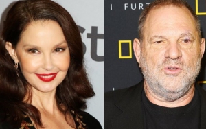 Ashley Judd Credited for Bringing Harvey Weinstein's Sexual Assault Scandal to Light