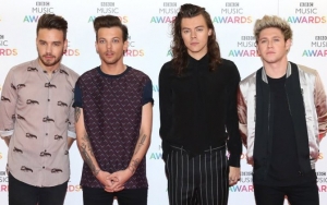 Liam Payne Has Not Spoken to Harry Styles About One Direction Reunion