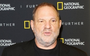 Harvey Weinstein Denied Request to Move Sexual Assault Trial Out of New York City
