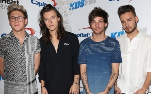 Niall Horan: One Direction Would End Up Killing Each Other If Not for Hiatus